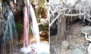 Nascente localizada na parte oeste do Sinclinal Moeda. Em 2013 havia fluxo intenso de água e em 2017, completamente sem água. Fotos: Instituto Prístino.